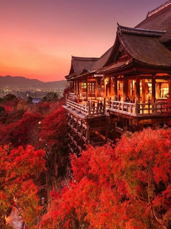 Top Ideas for Travel Experiences: Unforgettable Journeys Around the World