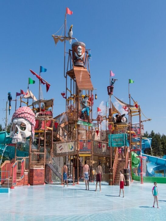 12 Best Things To Do In Ottawa With Kids