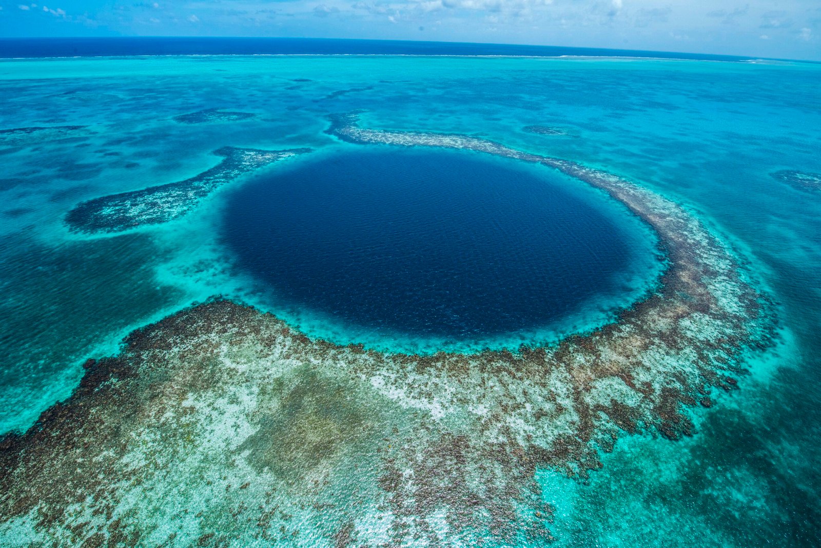 Scuba diver discovering coral at top diving spots