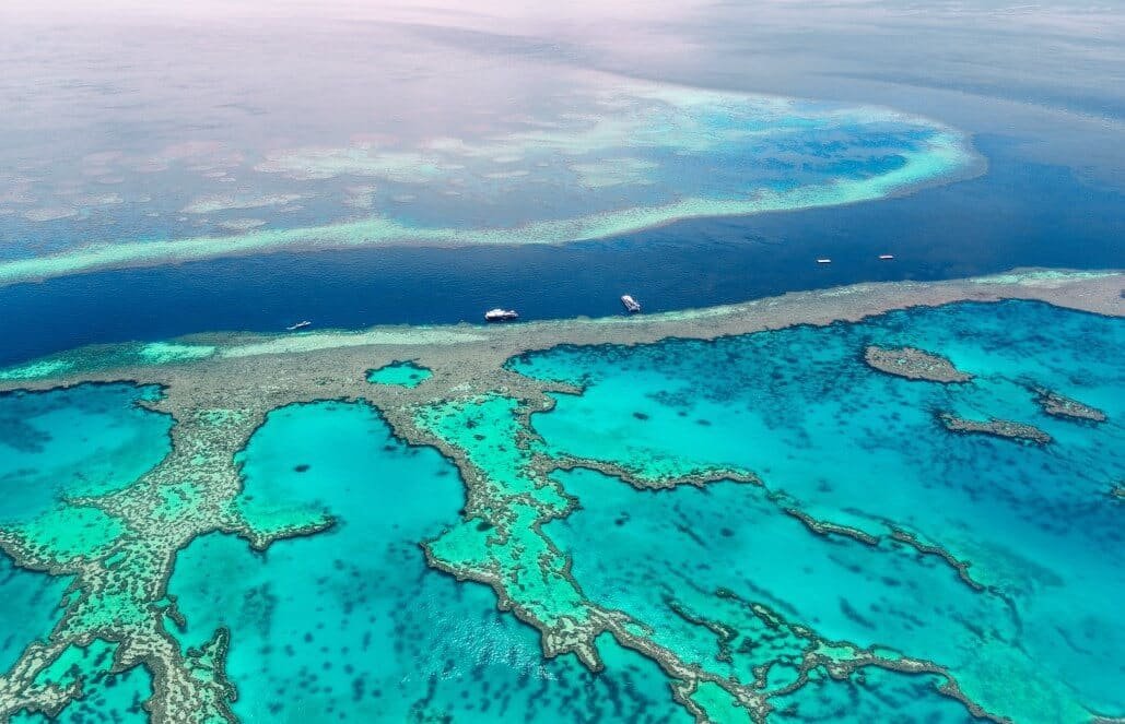 Exploring underwater wonders at the best places to go scuba diving