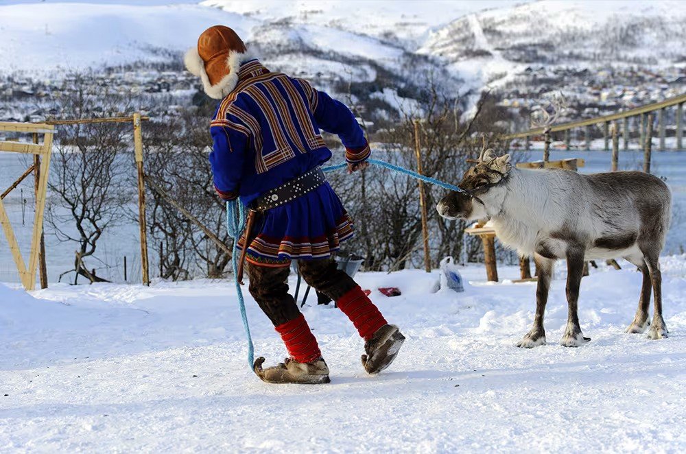 Traditional Sami clothing, reindeer herding, and cultural life in Swedish Lapland