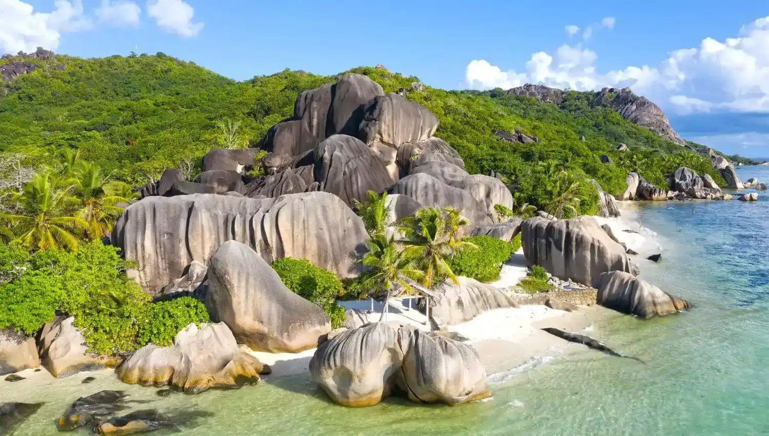 Palm trees and soft sands at one of the best beaches in the world.