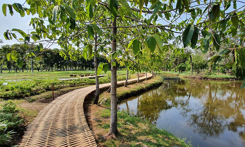 Kids enjoying a family-friendly hike on nature trails near Bangkok