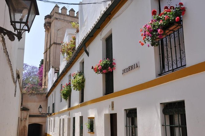 Explore Andalusia on foot with top Seville walking tours