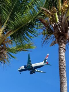 The Best Websites for Finding Cheap Flights in 2025
