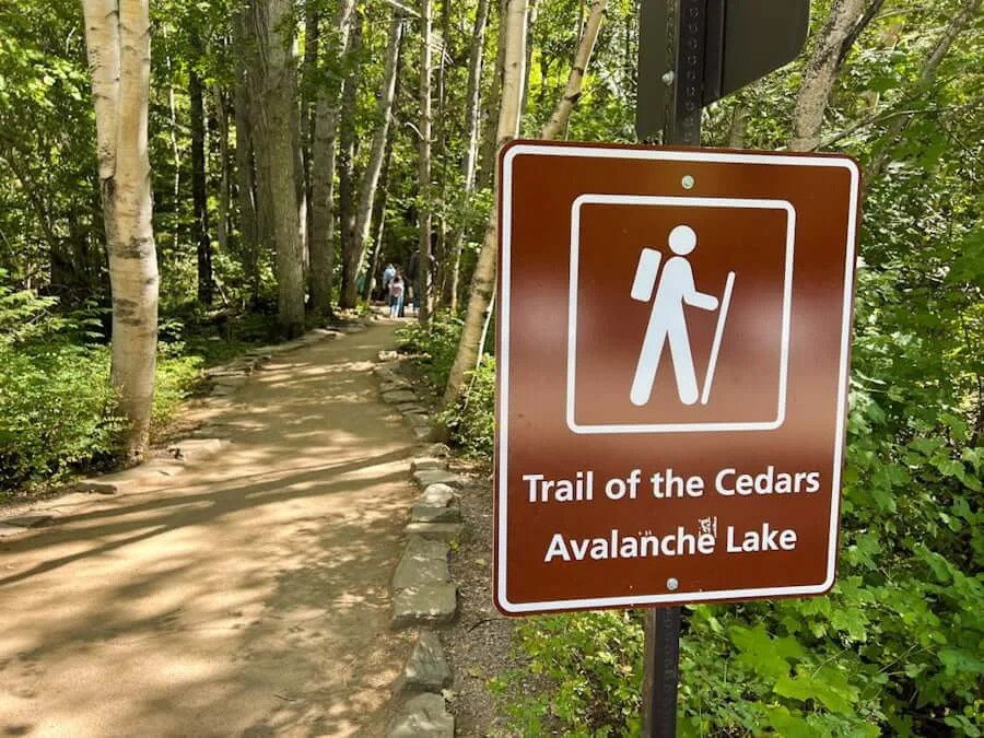 Child reading an interpretive sign on Trail of the Cedars, Glacier National Park Montana
