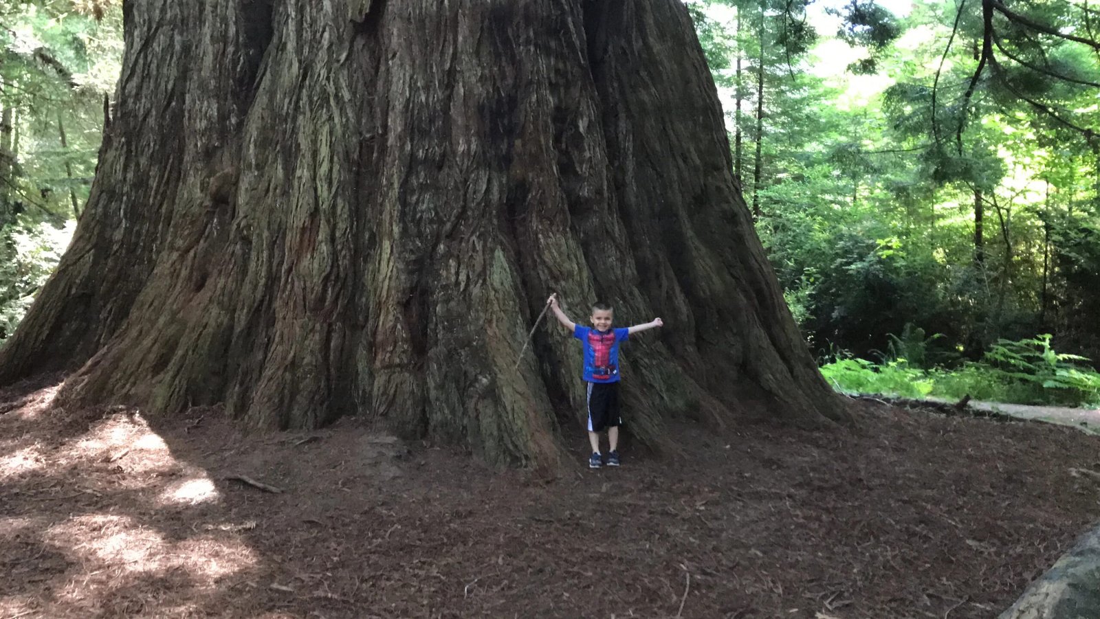 Quotes About Hiking With Kids on Family Trails in the USA" – Inspirational hike moment featuring a child and parent.