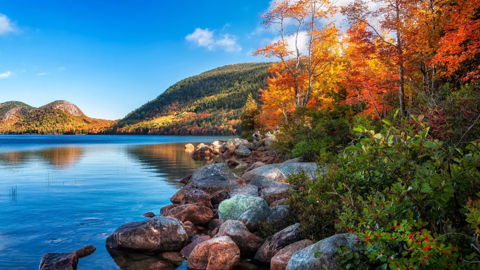 USA Hiking Adventures With Kids on Family-Friendly Paths" – Smiling children exploring a national park trail.