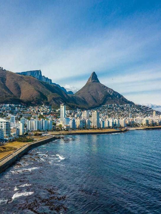 Wild Flavors & Warm Hearts: Exploring South Africa’s Rich Tapestry