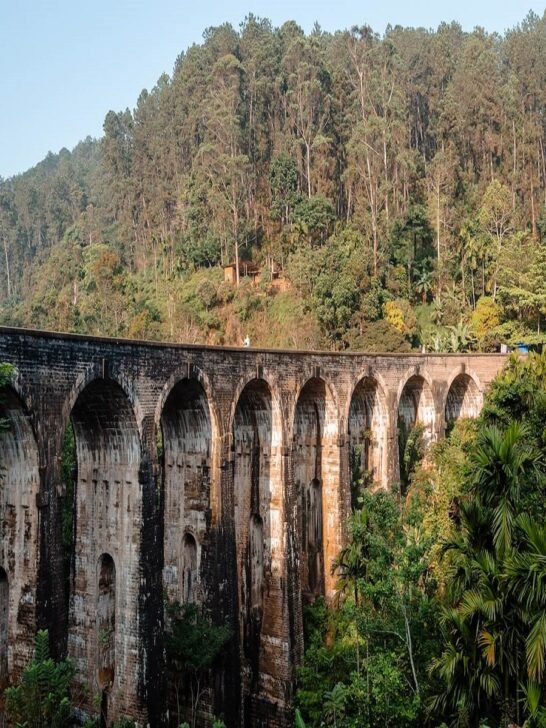 Sri Lanka Itinerary: 5 Days of Adventure & Relaxation