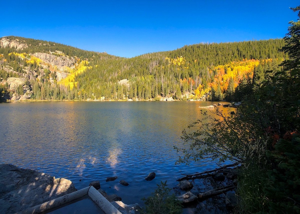 Hiking with Kids on Family-Friendly Trails in the USA" – Family enjoying a scenic hike on a kid-safe trail in the U.S.