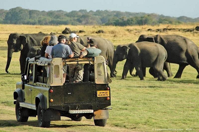 Perfect Sri Lanka itinerary: 5 days packed with adventure & relaxation