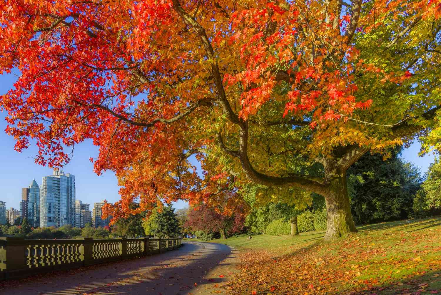 Sunny weather captured during top time to visit Canada