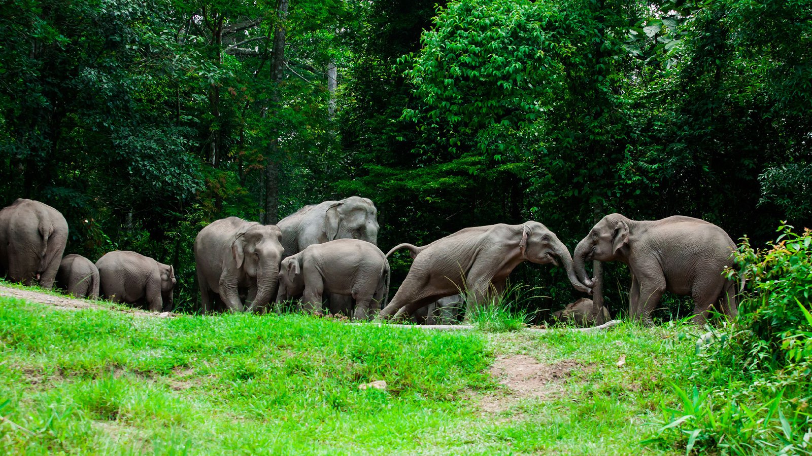 Scenic view from nature trails for family-friendly hikes near Bangkok