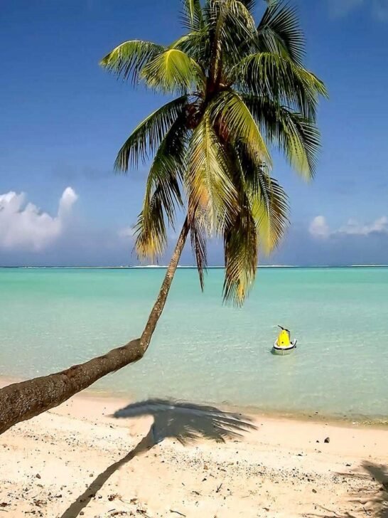 The Best Beaches in the World to Enjoy Summer Times