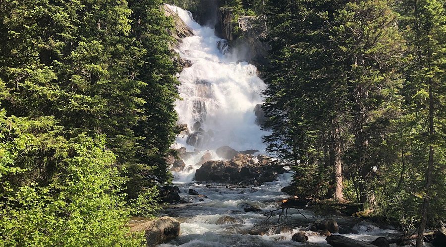 Hiking With Kids in the USA’s Best Family Trails" – Group of kids hiking on a nature trail with adults in the U.S.