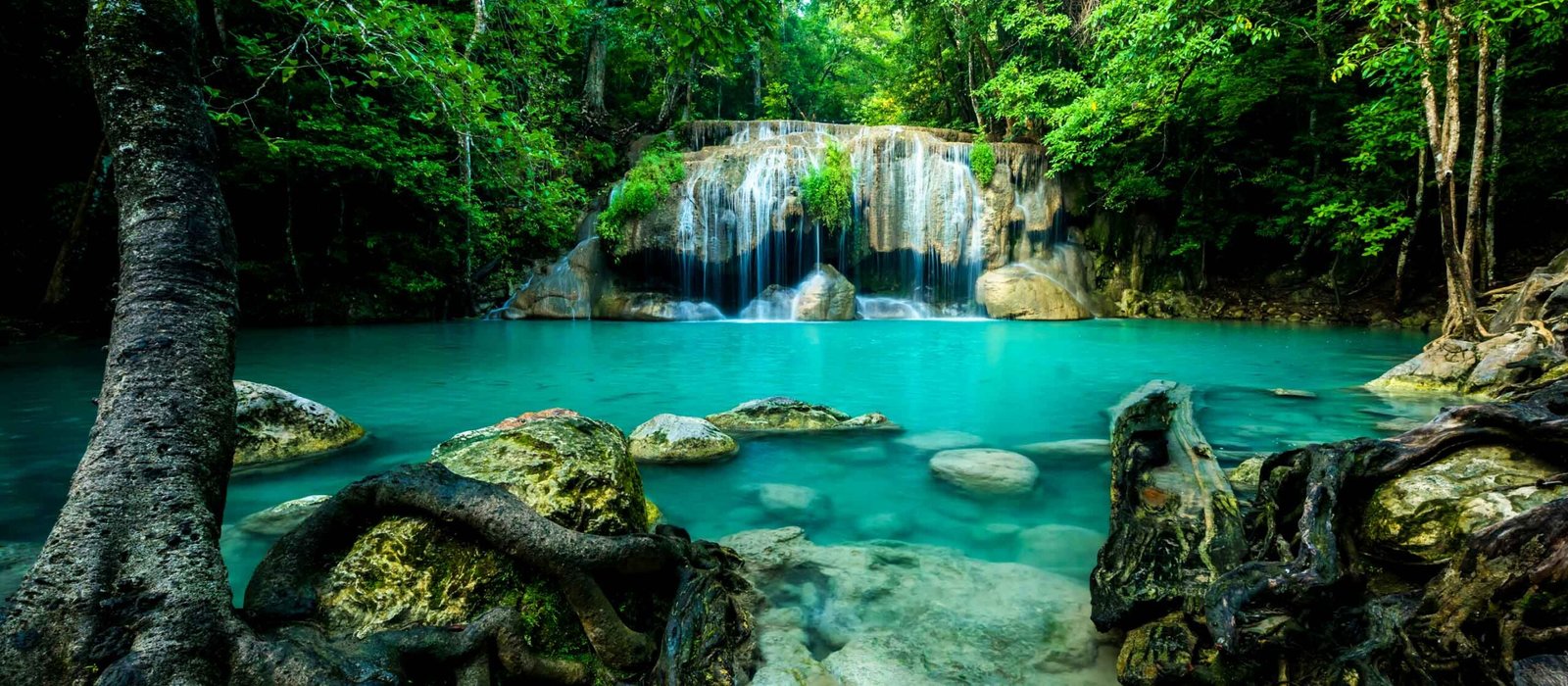 Exploring top nature trails near Bangkok for family hikes