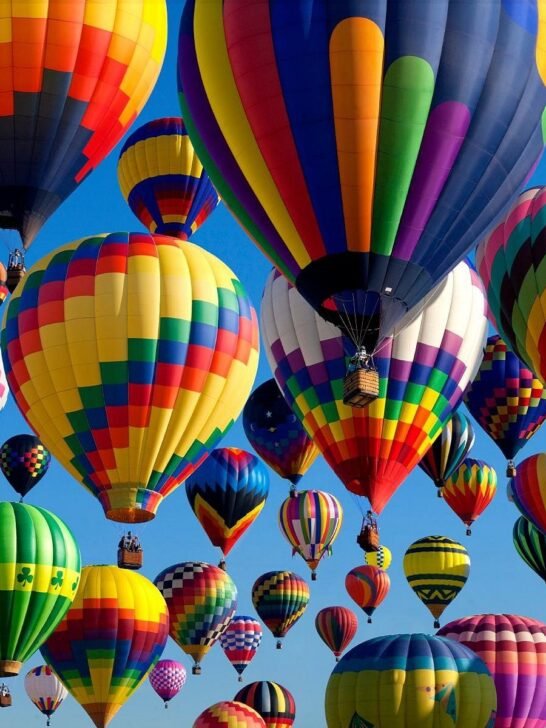 15 Best Activities to Do While Traveling to the United States