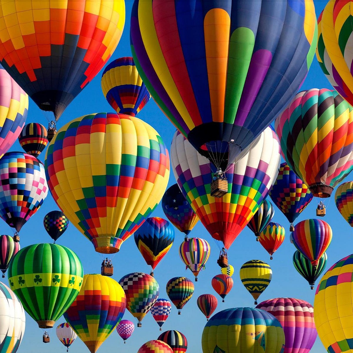 15 Best Activities to Do While Traveling to the United States