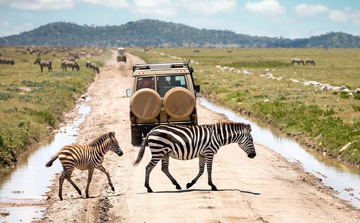 Scenic view in East African countries during safe travel