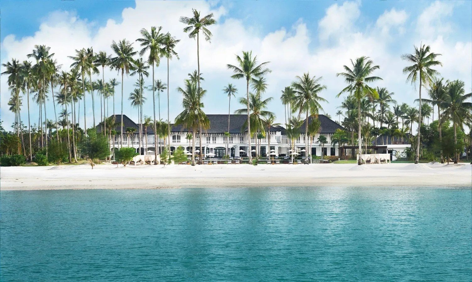 Palm trees lining an underrated beach in Southeast Asia