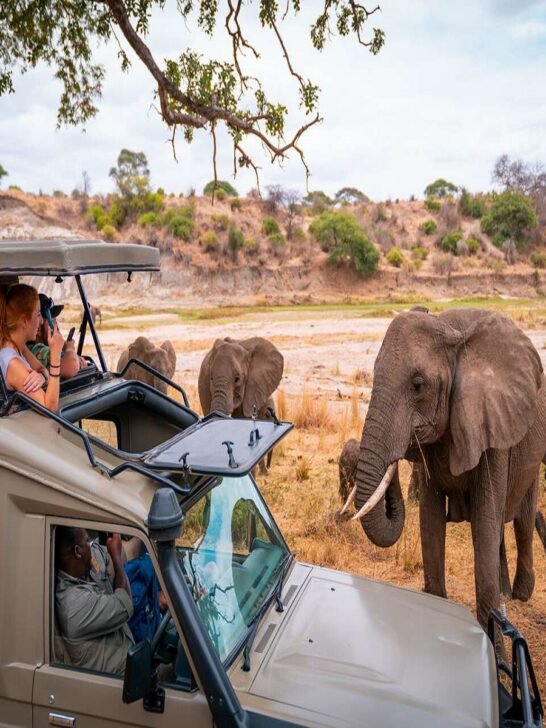 East African Countries for Safe and Scenic Travel