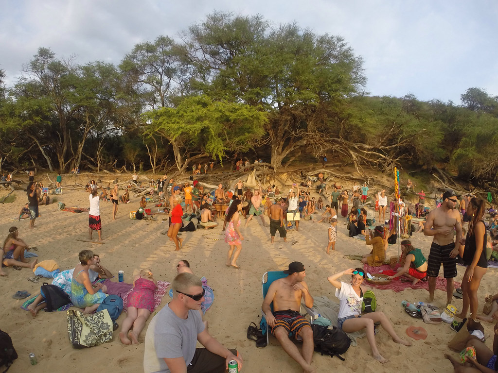 Palm trees near nudist beaches in Hawaii offering shade and privacy