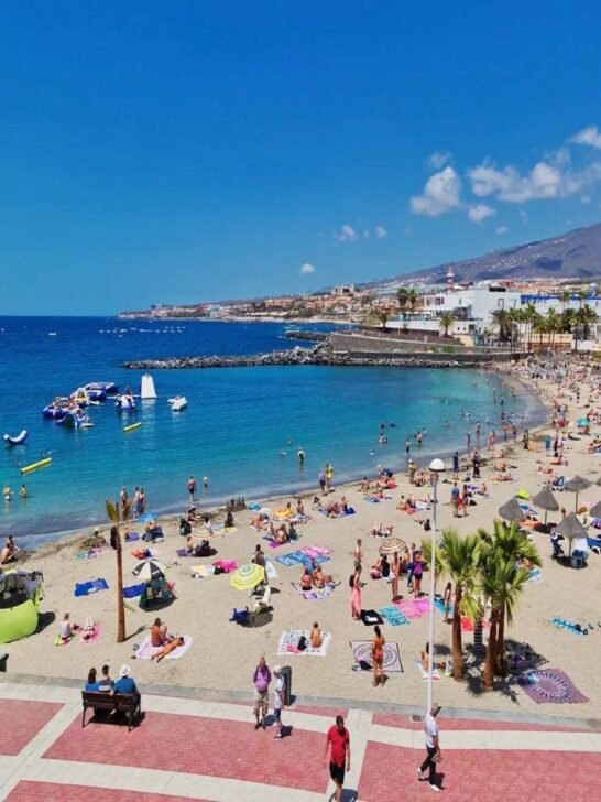 Bargain Holidays Canary Islands: Your Complete Travel Guide