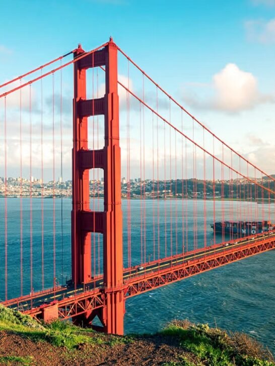 Best Viewpoint in San Francisco: A Complete Travel Guide
