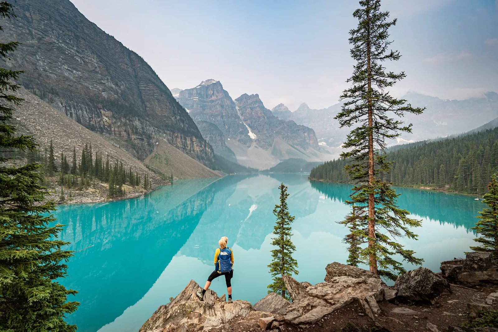 Wildlife spotting during Banff travel itinerary with elk in natural setting