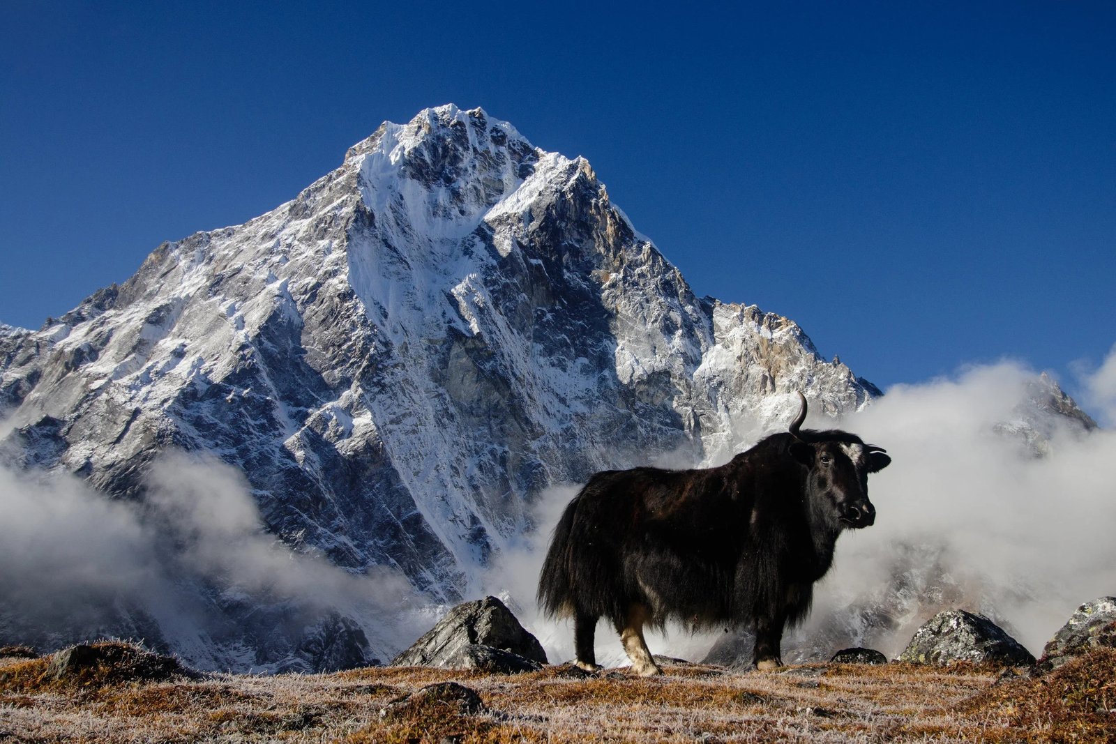 Nature and culture at UNESCO Sites in Nepal mountains