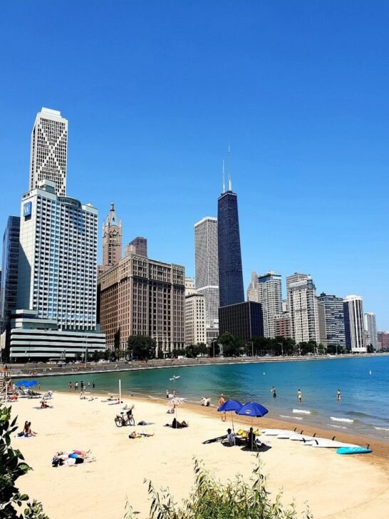 Trip to Chicago Package: Hotels, Tours, Food & Fun