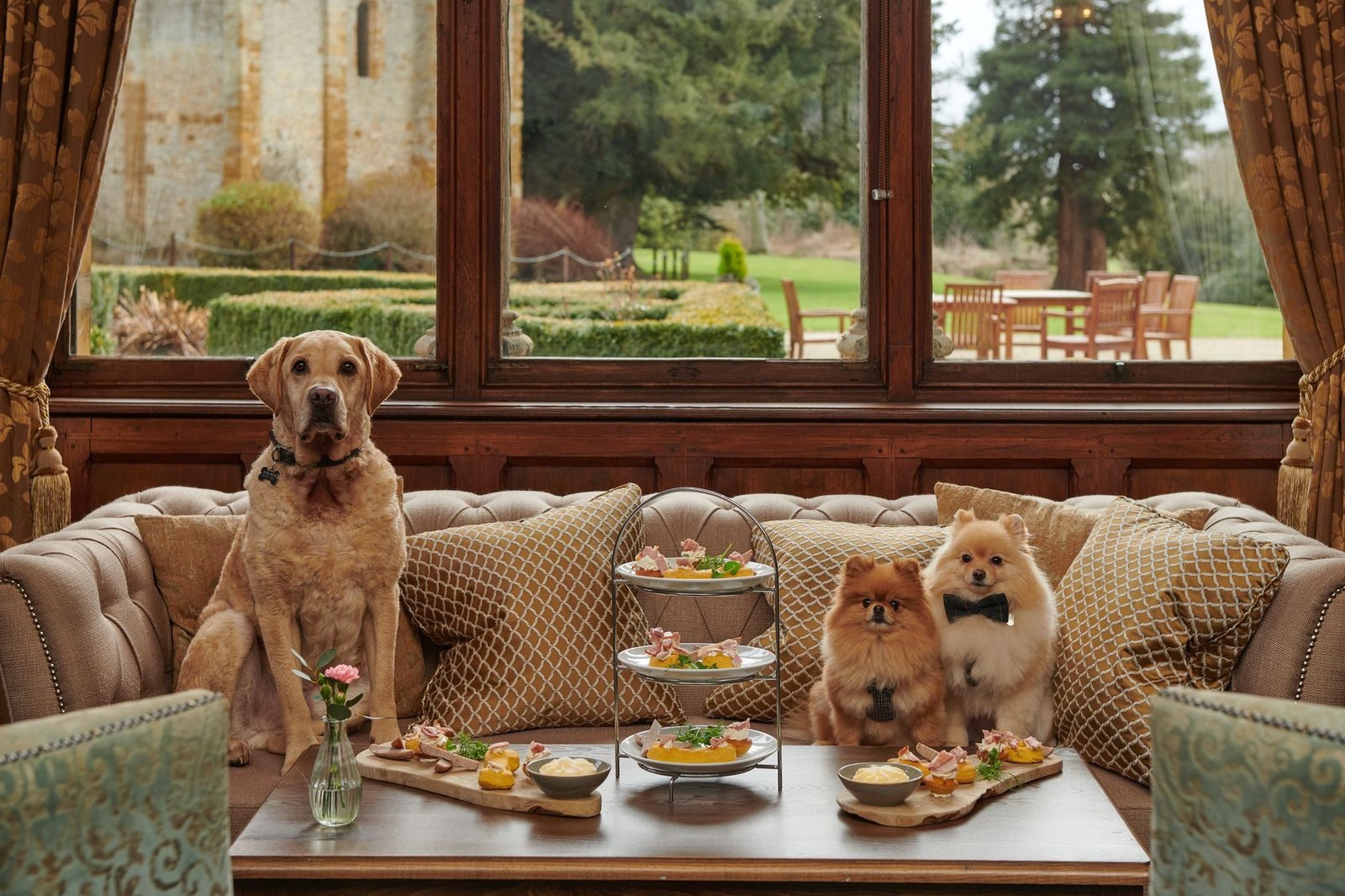Guests enjoying their stay at Beckley pet friendly hotels with dogs