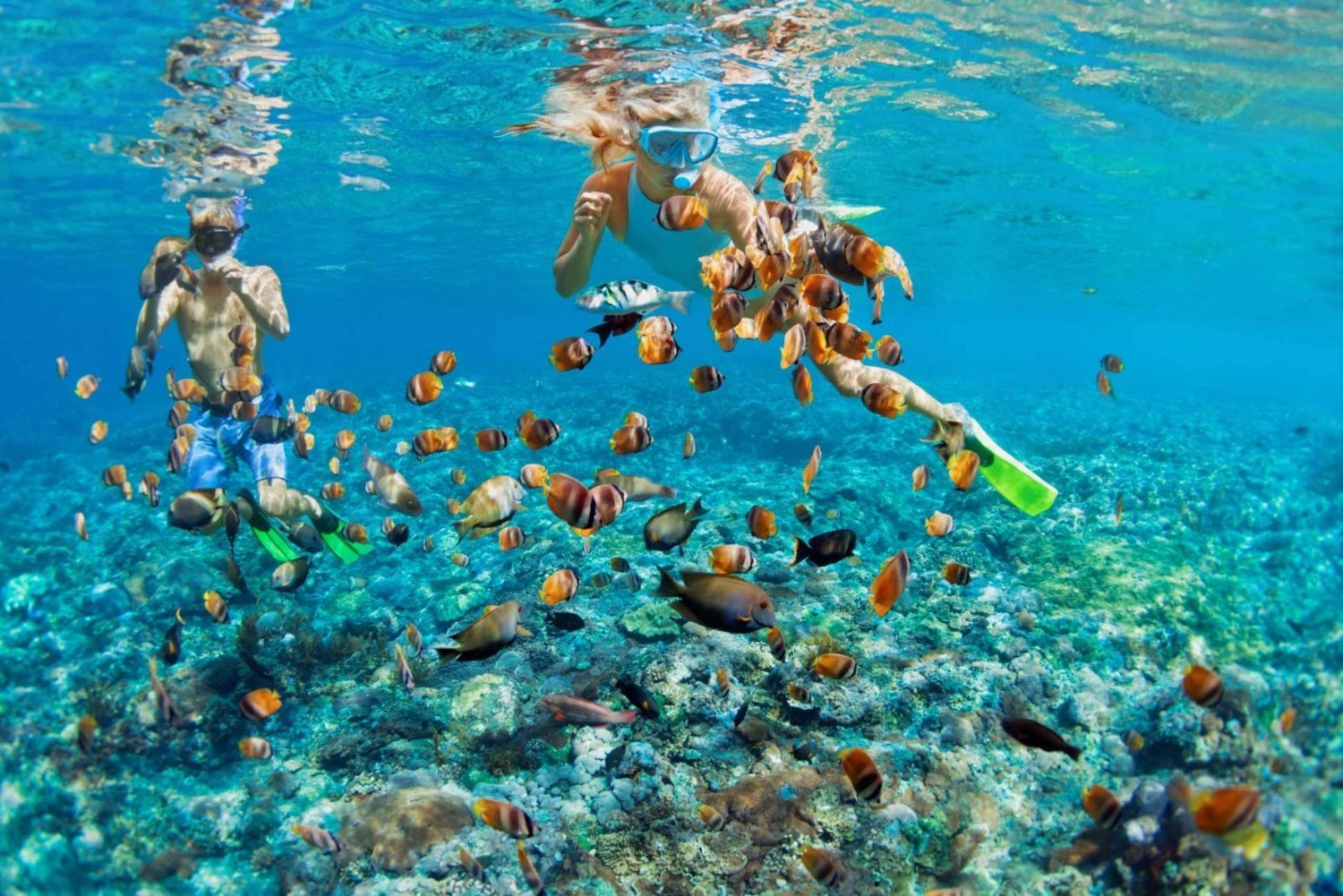 Crystal clear waters seen on a day trip from Miami to the Bahamas
