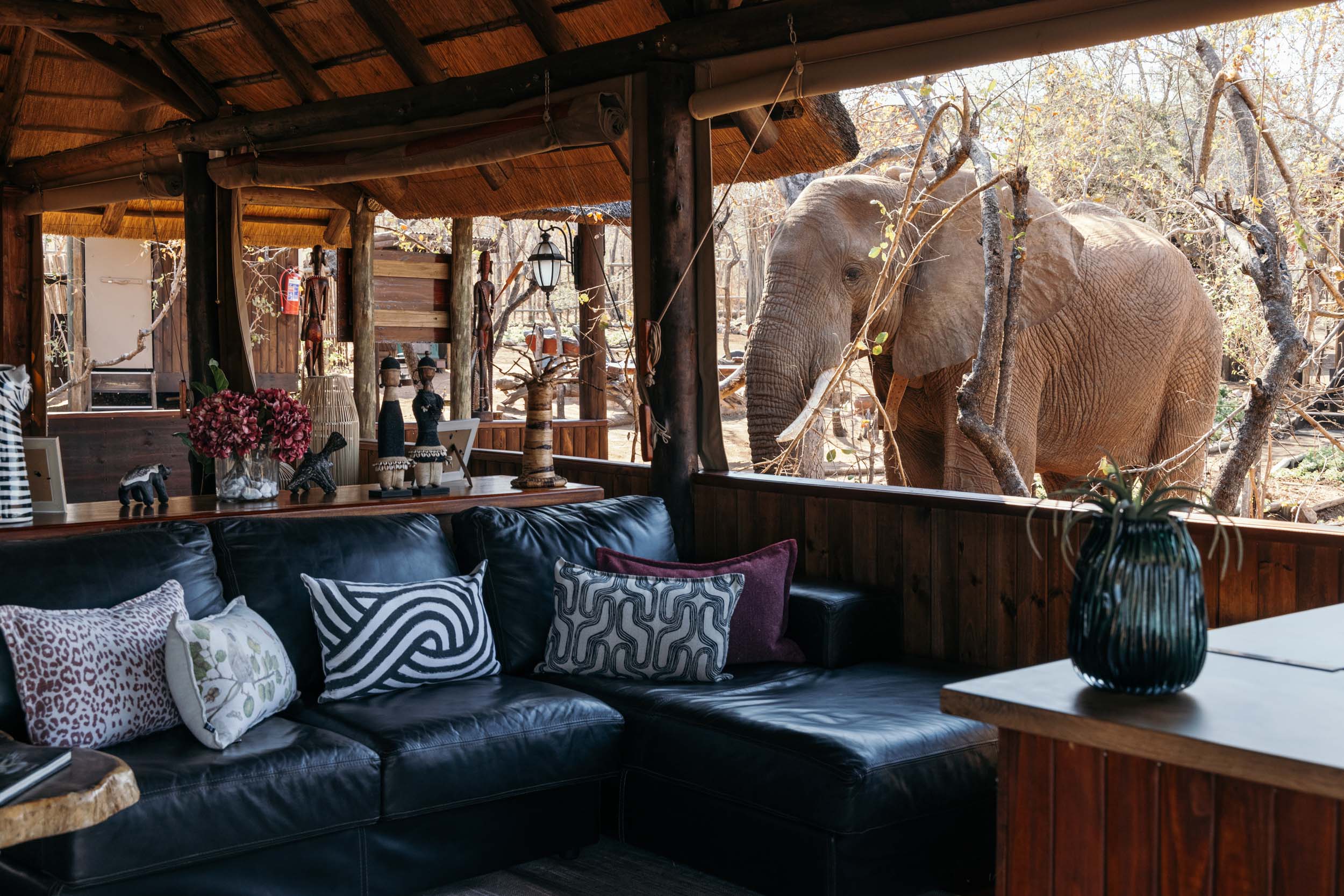 Luxury lodge offering breathtaking views during the best safari in South Africa