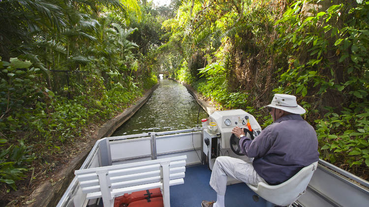 Family hiking in National Parks East Coast USA during summer